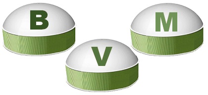 BVM_Logo